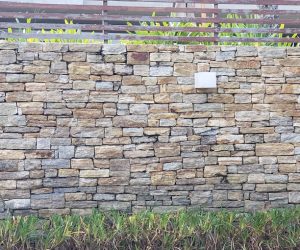 0c3ea376-7385-407b-bc7a-3cfdc23d76f3