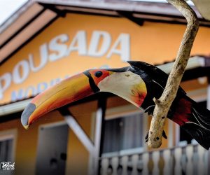 181406853_3920473611372406_3338325564364313084_n