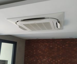 276119579_1836719466524668_5899897041071241679_n