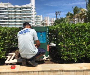 300439574_757676221968076_762809923651591277_n