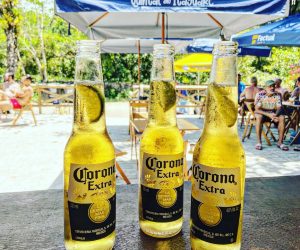 316544660_799463631291906_1888329938961688982_n