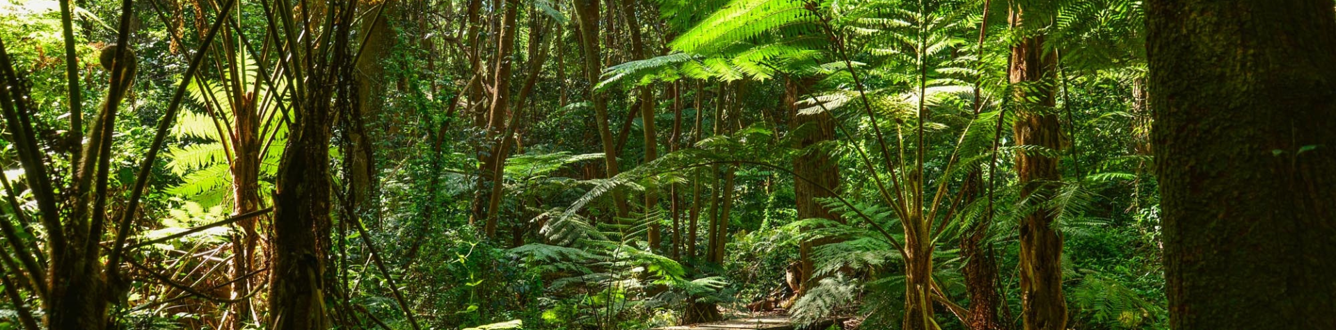 Banner-Computador-2024-01-10T022245.880