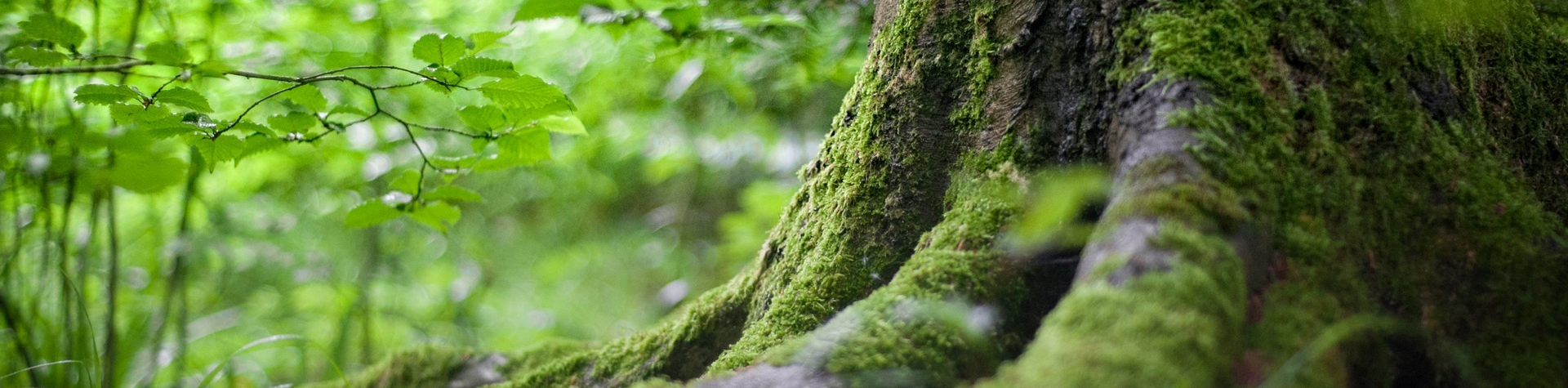 Banner-Computador-2024-01-10T025945.784