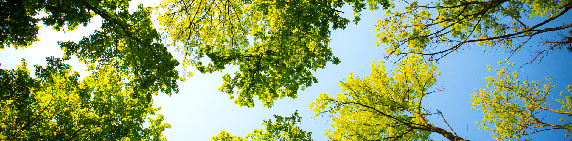 Banner-Computador-2024-01-10T032113.726