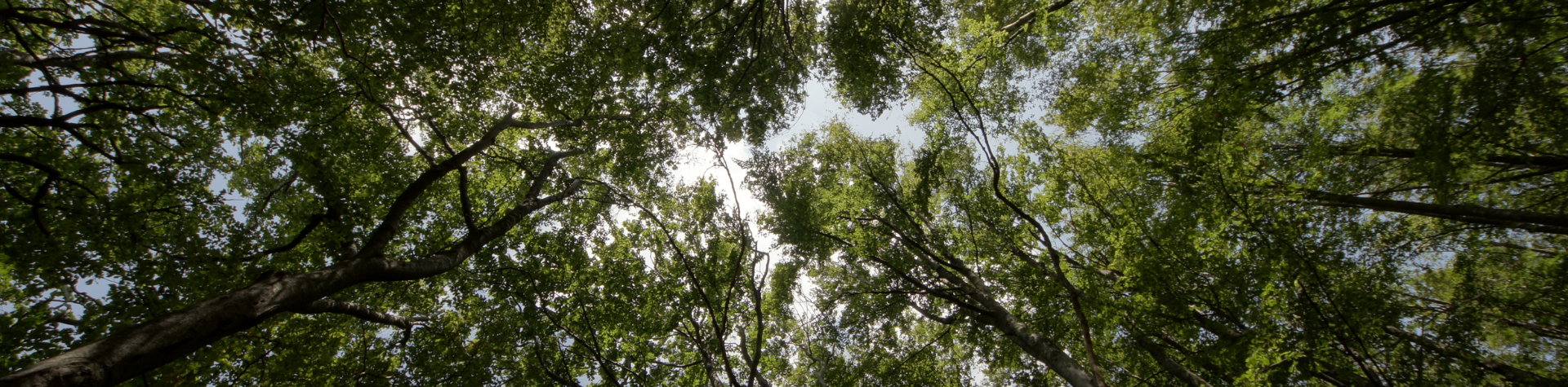Banner-Computador-2024-01-12T141533.032