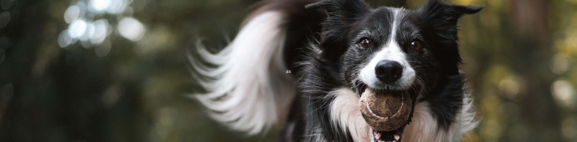 Banner-Computador-2024-01-13T173909.760