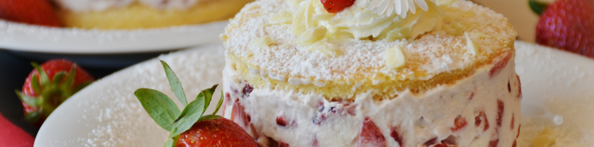 Banner-Computador-2024-03-20T230040.879