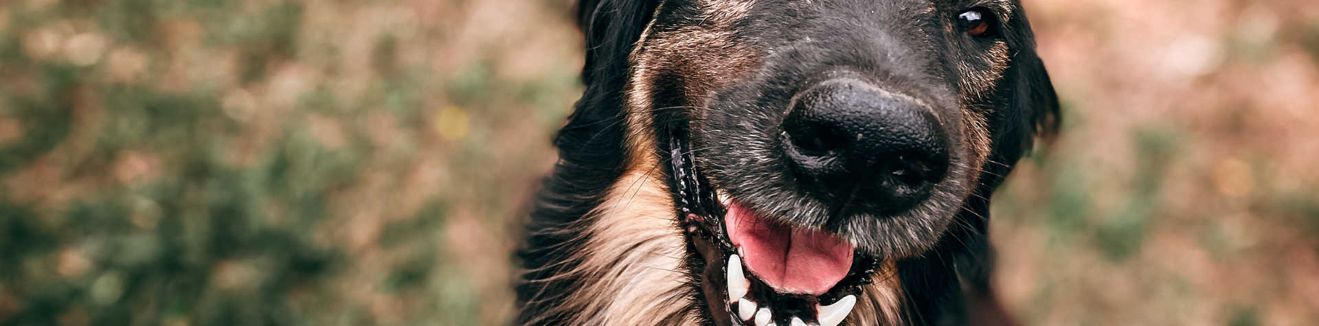 Banner-Computador-2024-03-29T002137.615