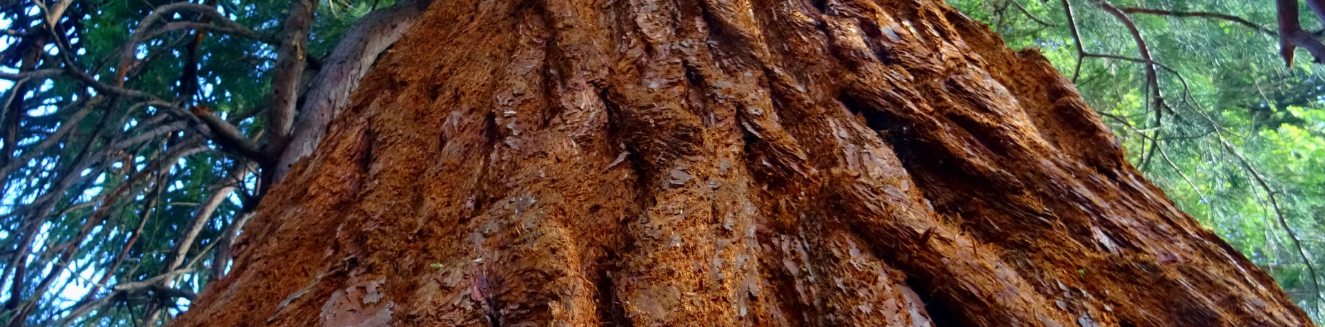 Banner-Computador-2024-04-29T211254.630