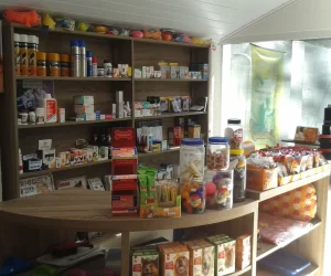 Clinica-Veterinaria
