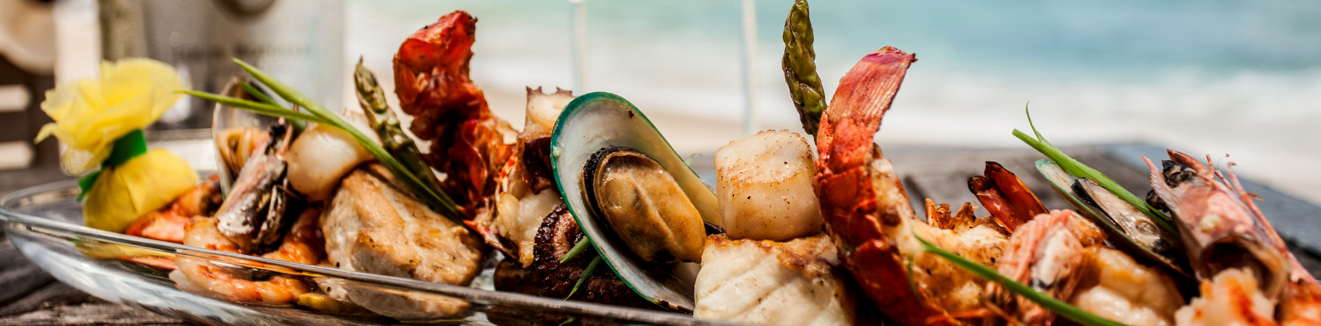 Design-sem-nome-17-1