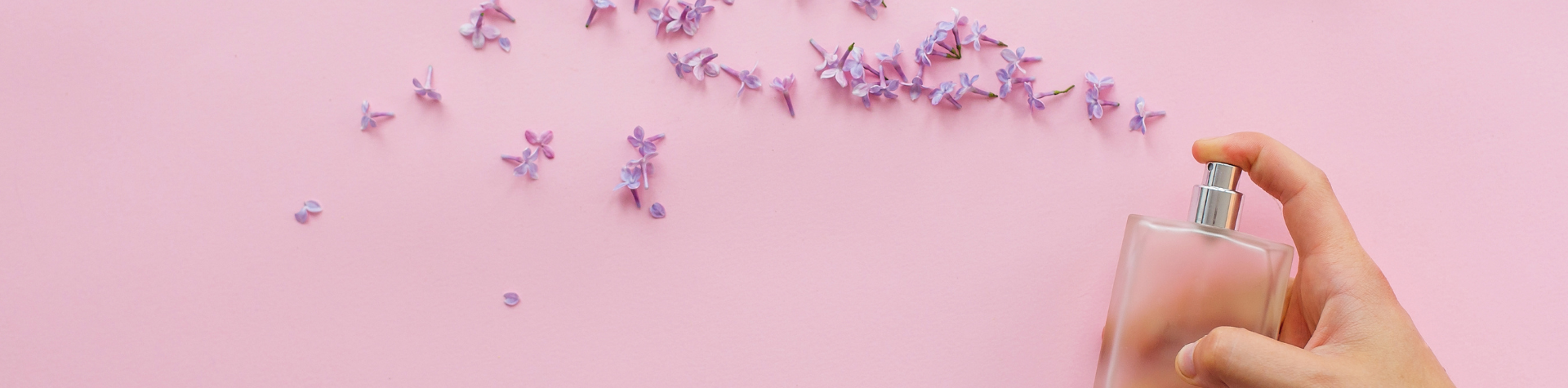 Design-sem-nome-2024-03-15T134911.625