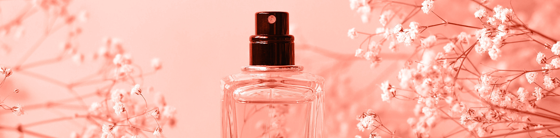 Design-sem-nome-2024-03-20T113910.786