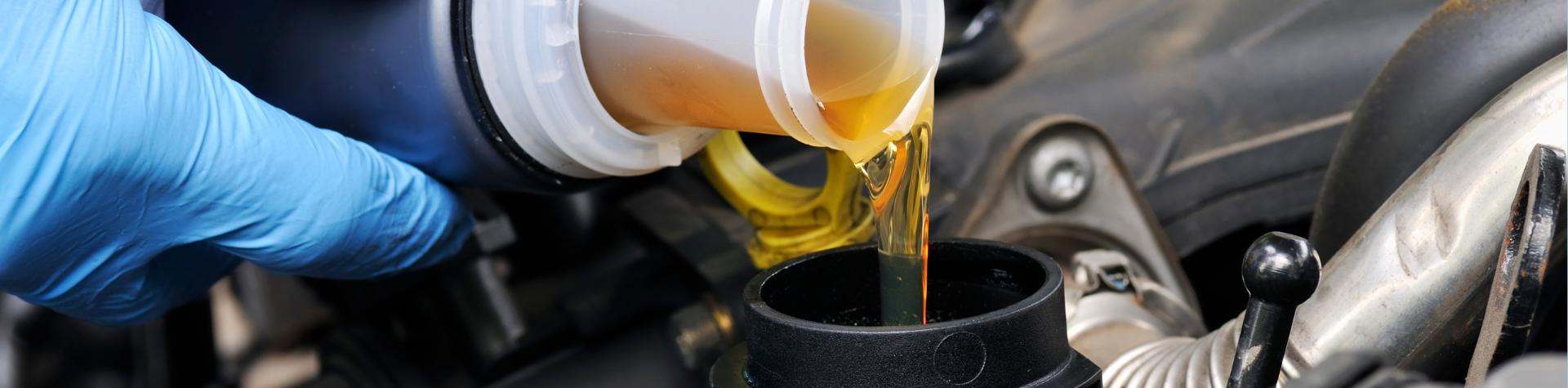 Design-sem-nome-2024-04-11T112329.886