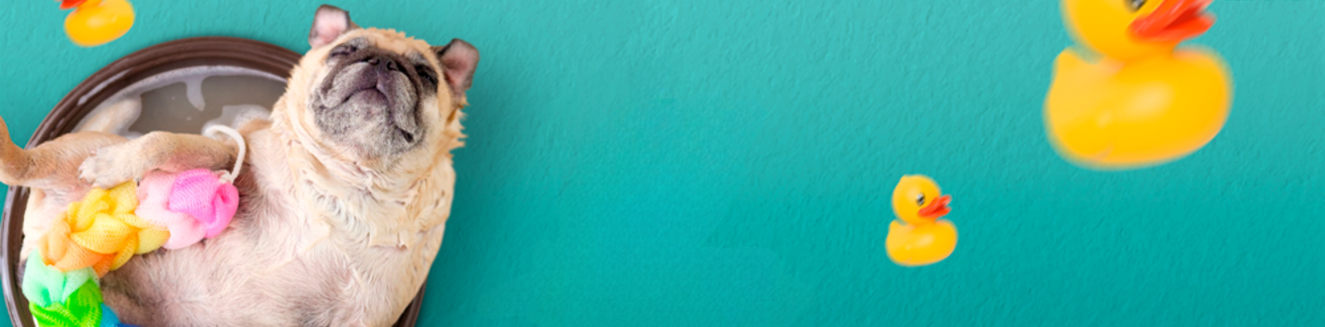 Design-sem-nome-6