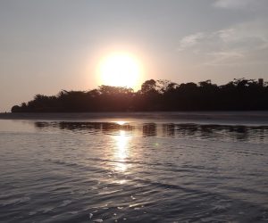 IMG_20210926_172244380