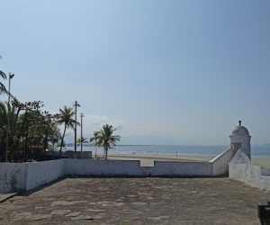 IMG_20220727_110041