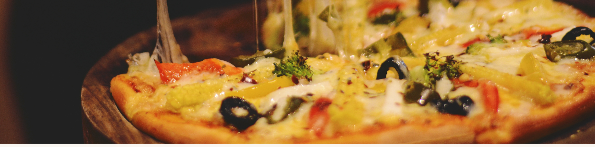 Modelo-Banner-24