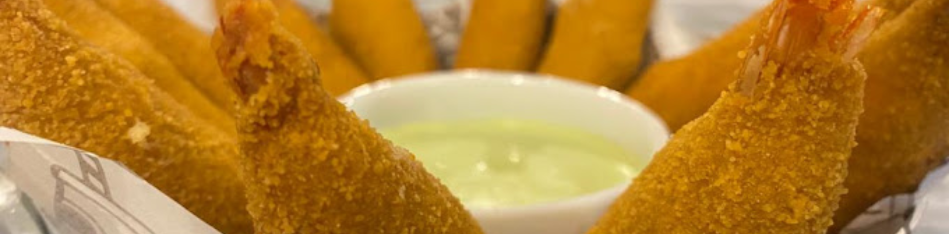 Modelo-Banner-91