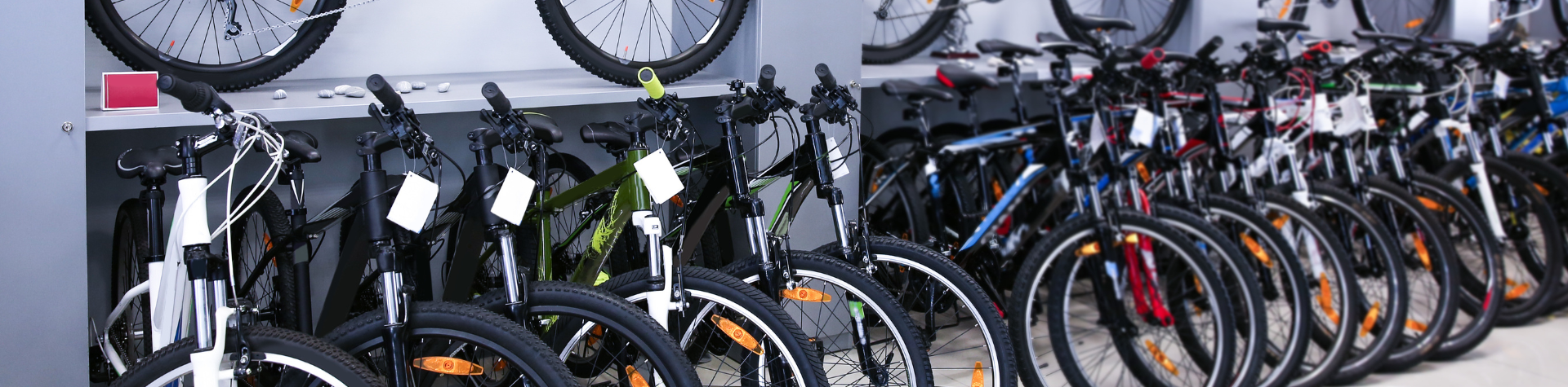 Modelo-Banner-Site-2