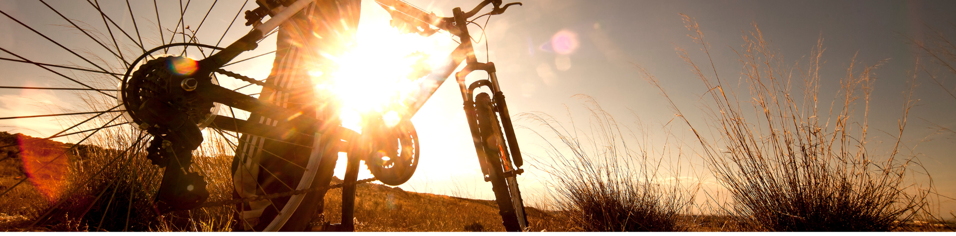 Modelo-Banner-Site-30