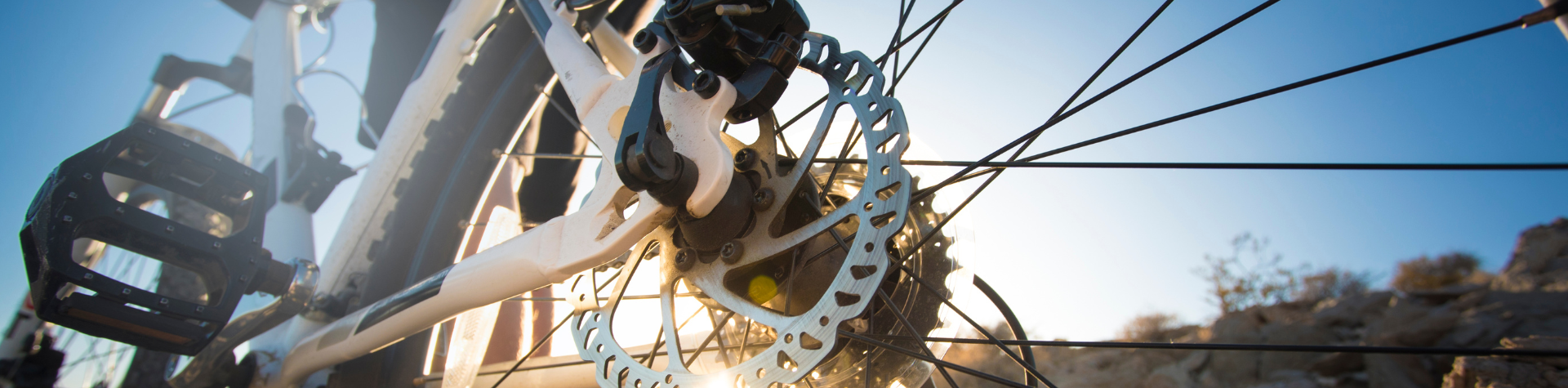 Modelo-Banner-Site-59