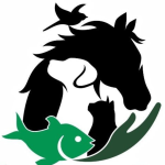 Modelo-Logo-4-1