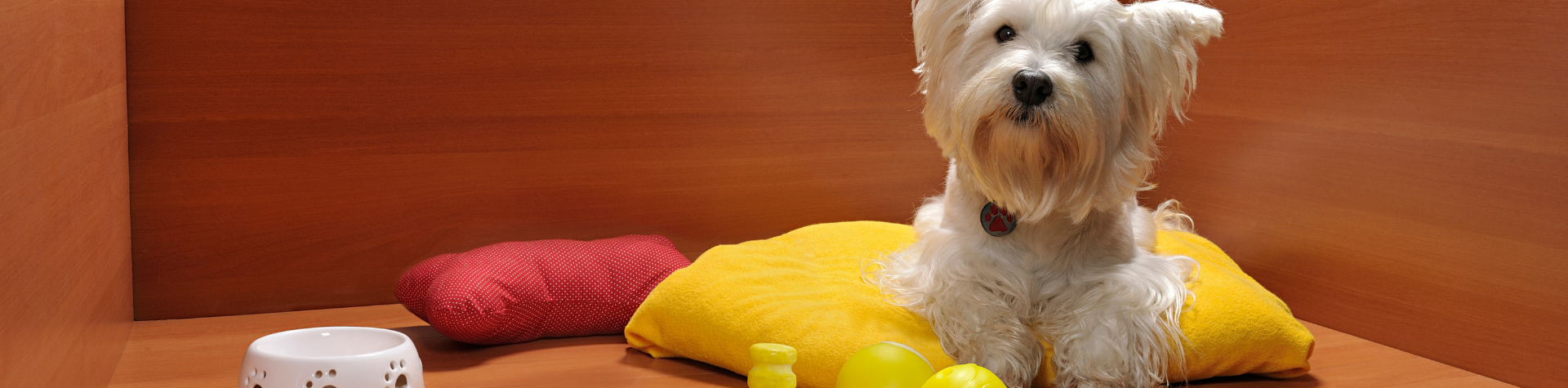 Olivia-Wilson-Beauty-8-1