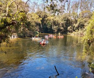 Parque-das-Neblinas