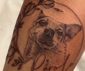 WhatsApp-Image-2024-06-14-at-17.41.50-1