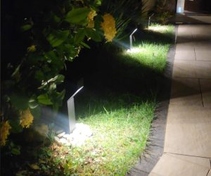 WhatsApp-Image-2024-07-08-at-17.21.26-1