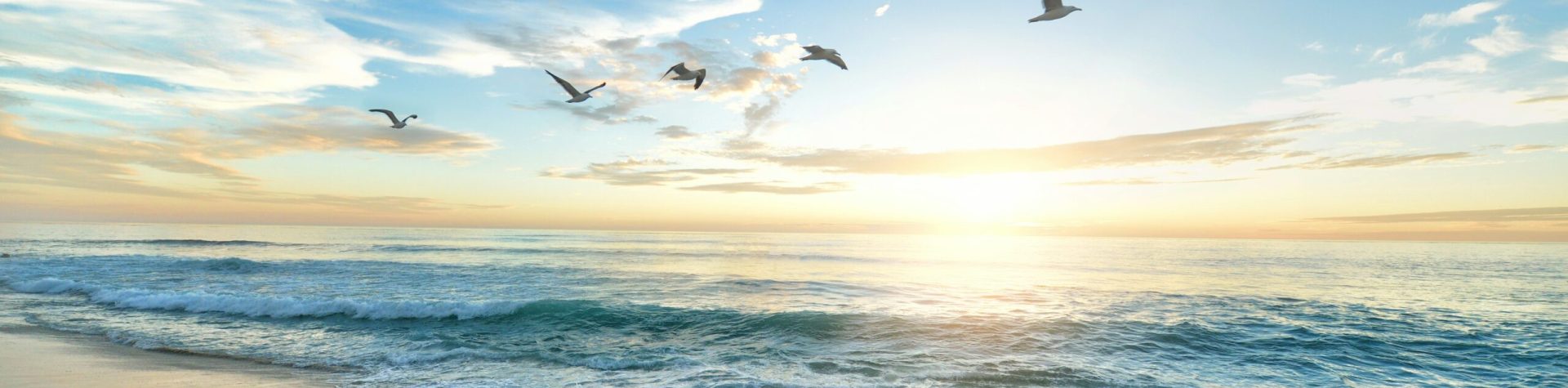 frank-mckenna-OD9EOzfSOh0-unsplash