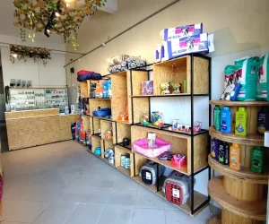 interior-veterinario