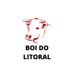 logos-bertioga-tem-2024-02-28T204741.941