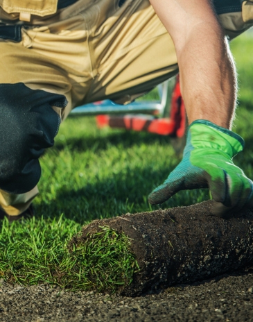 banner-mob-bertioga-tem-56