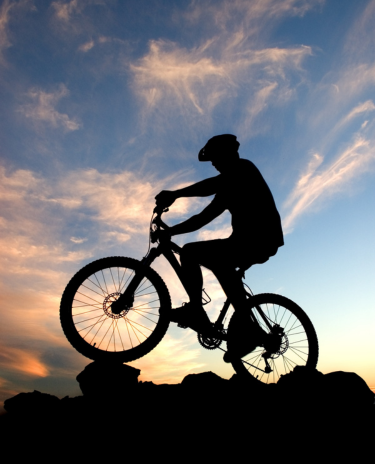 Banner-Mobile-Celular-35