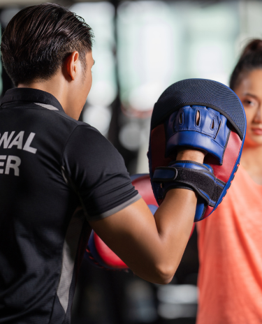 Banner-Mobile-Celular-26