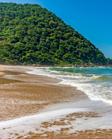 Banner-Cadastro_Mobile-28-5