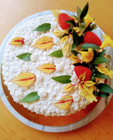 Banner-Cadastro_Mobile-65