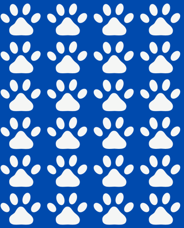 Modelo-Banner-Celular-1-2