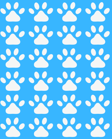 Modelo-Banner-Celular-3-3