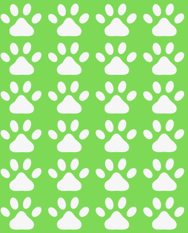 Modelo-Banner-Celular-4-1