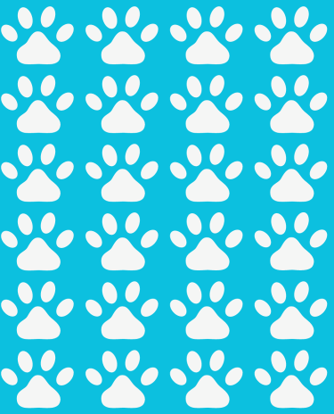 Modelo-Banner-Celular-5-1