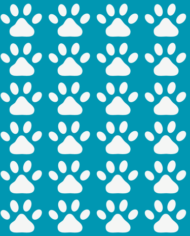 Modelo-Banner-Celular-6-1