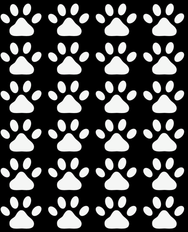 Modelo-Banner-Celular-6-2