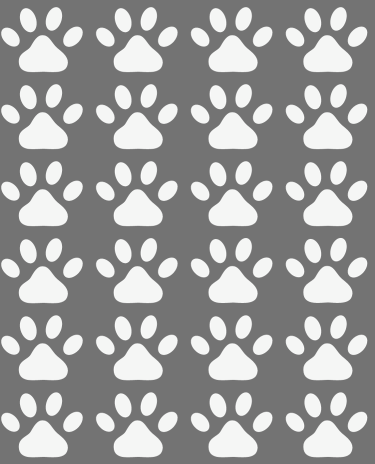 Modelo-Banner-Celular-9-1