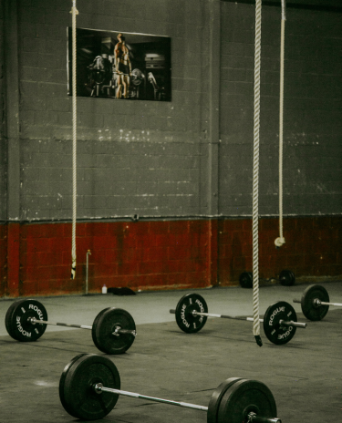 Banner-Mobile-Celular-10