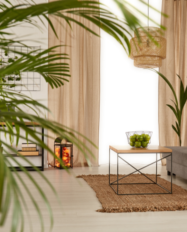 Design-sem-nome-20-2