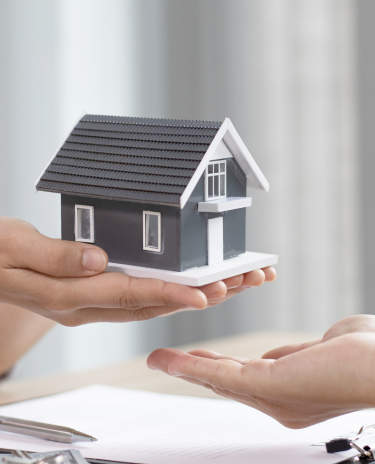 Banner-Celular-2024-01-29T153334.609