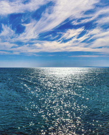 Banner-Celular-69